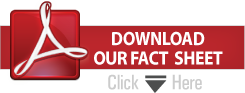 fact-sheet-download-button