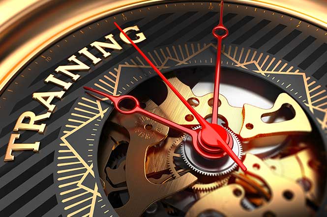 You Need to Train Your Contingent Workers Better: Here’s Why